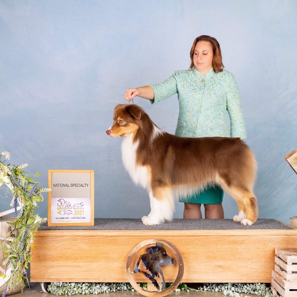 Meet your Posher, Rebecca